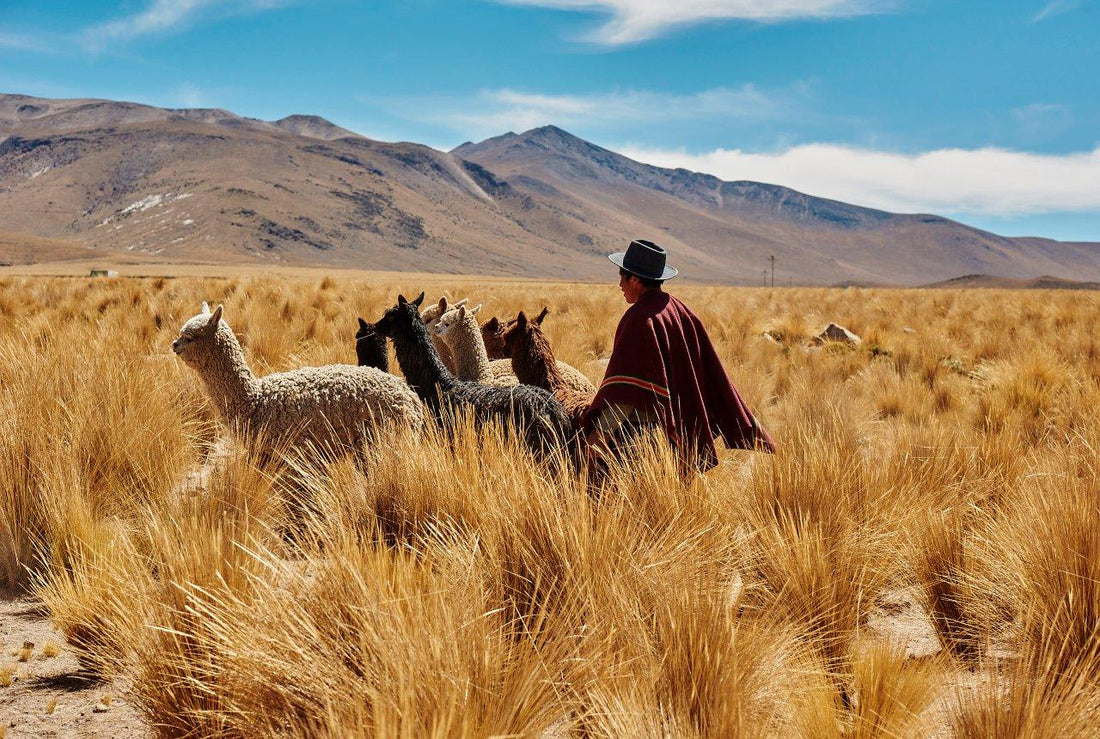 Meet The Makers of the Hepburn Baby Alpaca Scarf