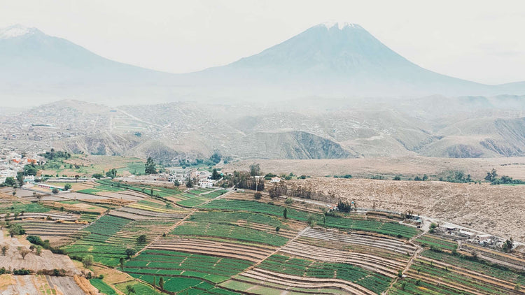 Pima Workshop of Peru