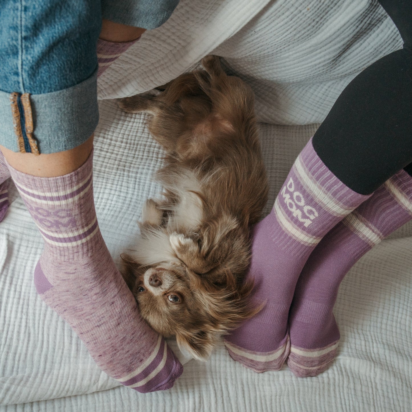 Dog Mom Pima Socks - Pack of 2