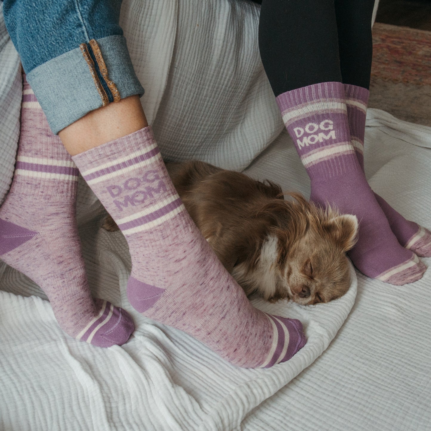 Dog Mom Pima Socks - Pack of 2