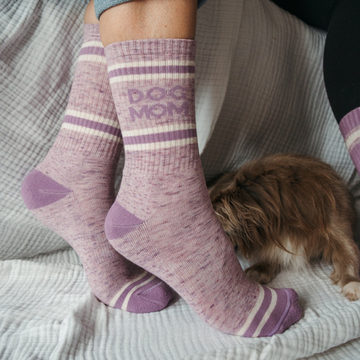 Dog Mom Pima Socks - Pack of 2