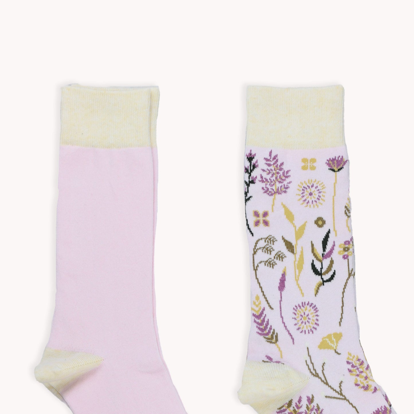 POKOLOKO Botanical & Solid Pima Socks - Pack of 2 #color_rosee