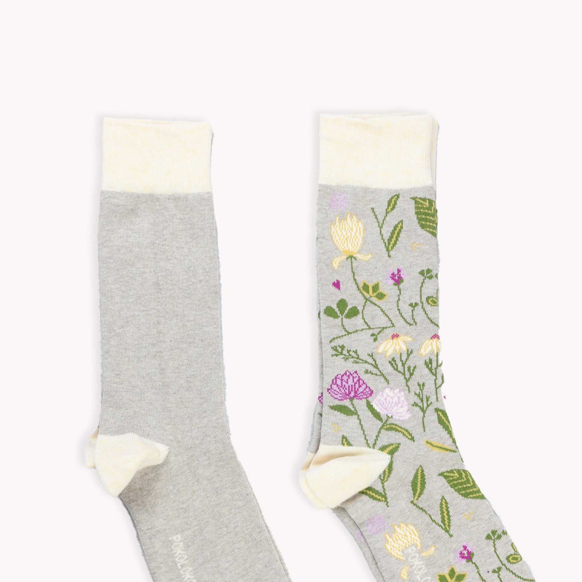 POKOLOKO Botanical & Solid Pima Socks - Pack of 2 #color_garden