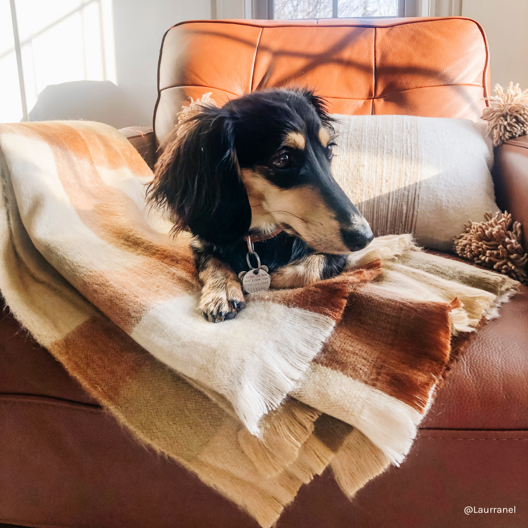 POKOLOKO Fringed Check Alpaca Blanket #color_cinnamon-check