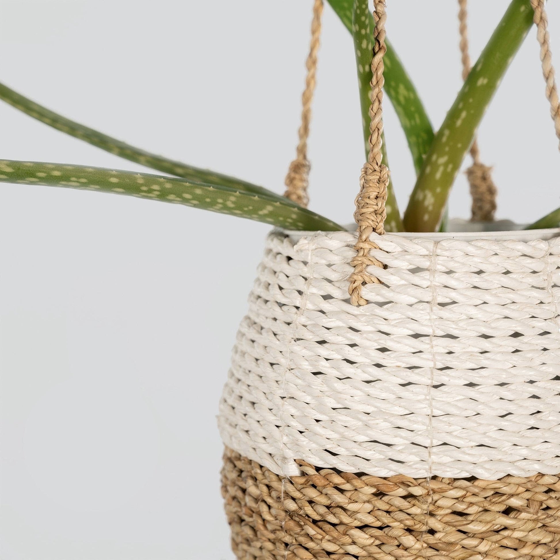 POKOLOKO Hanging Pot Basket #color_white-natural