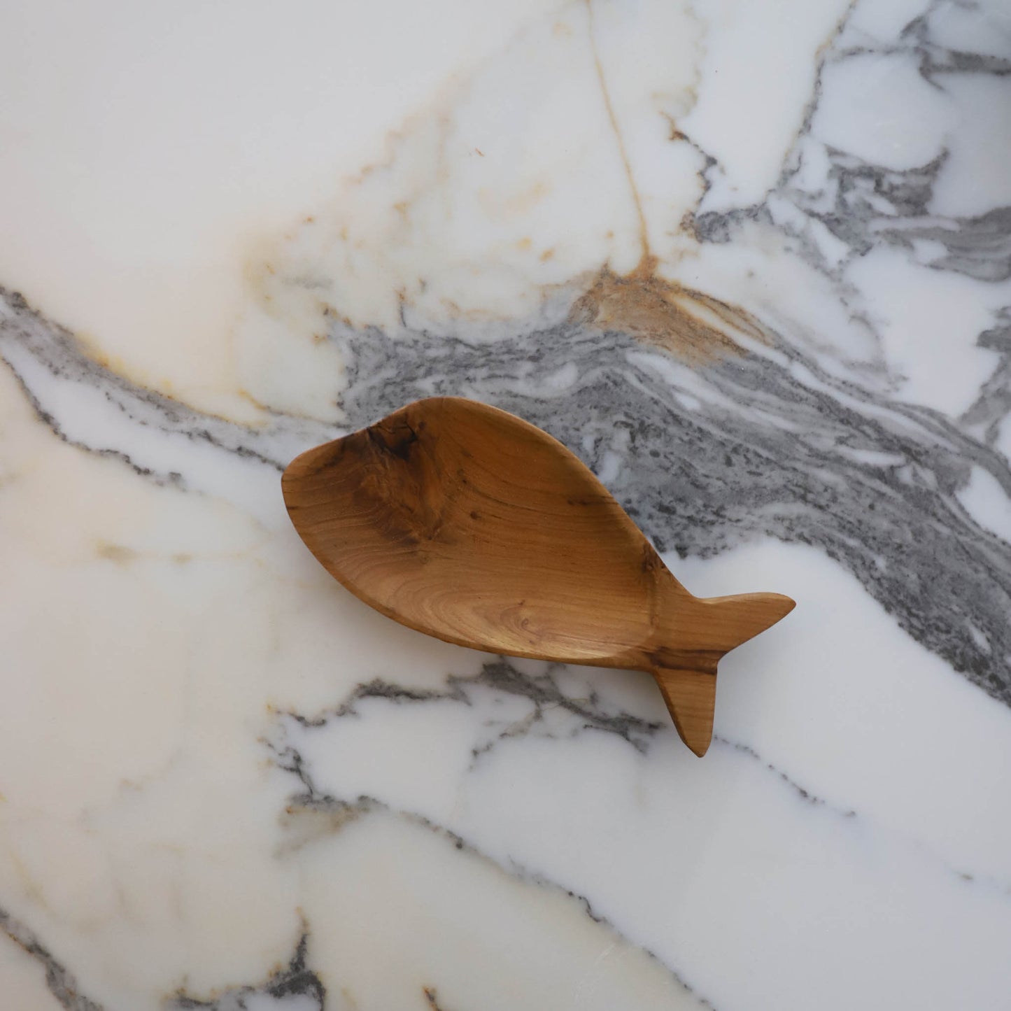 Fish Dish