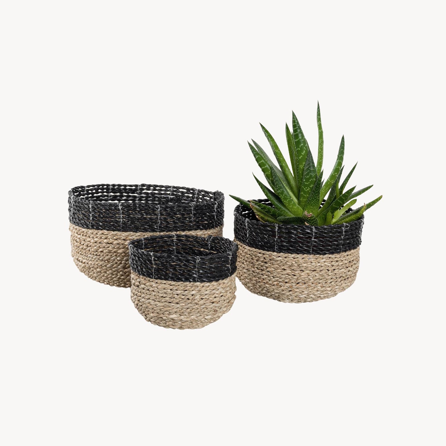 POKOLOKO Bowl Basket #color_black-natural