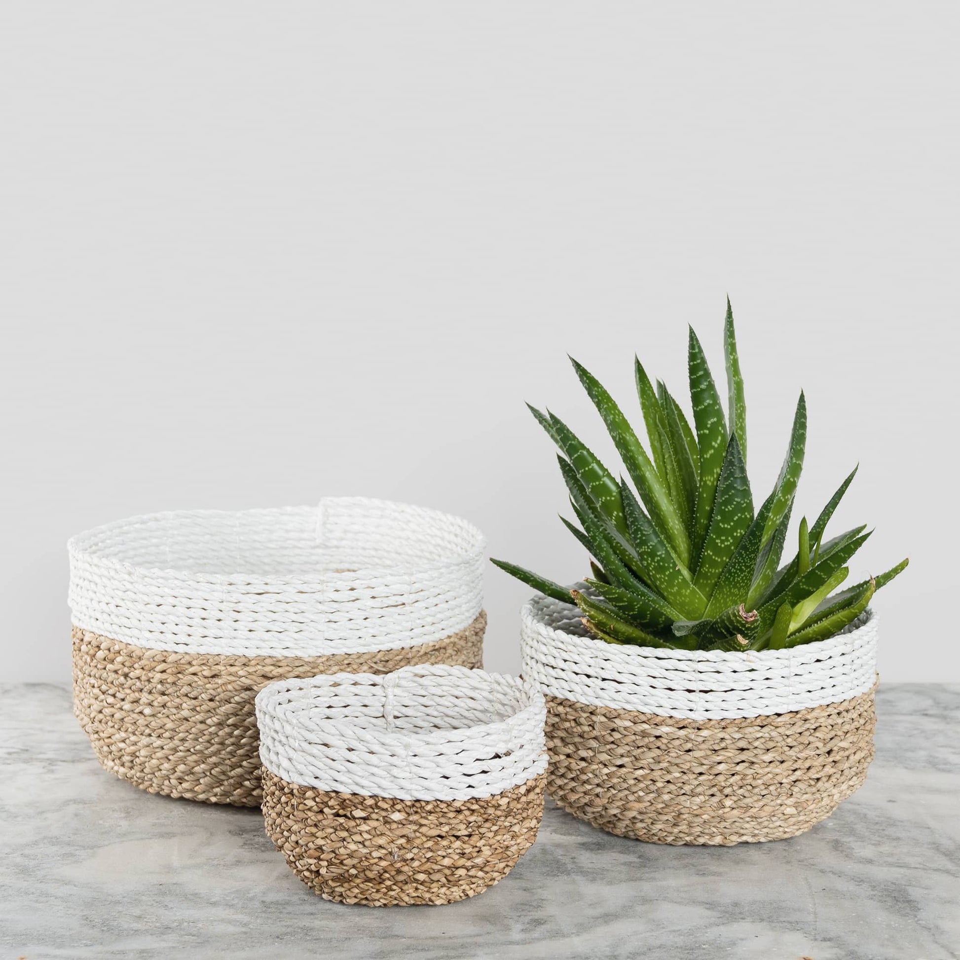POKOLOKO Bowl Basket #color_white-natural