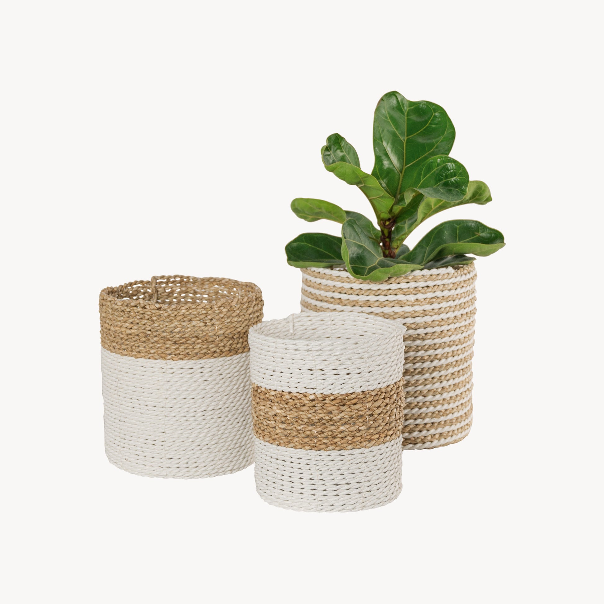 POKOLOKO Plant Basket #color_white-natural