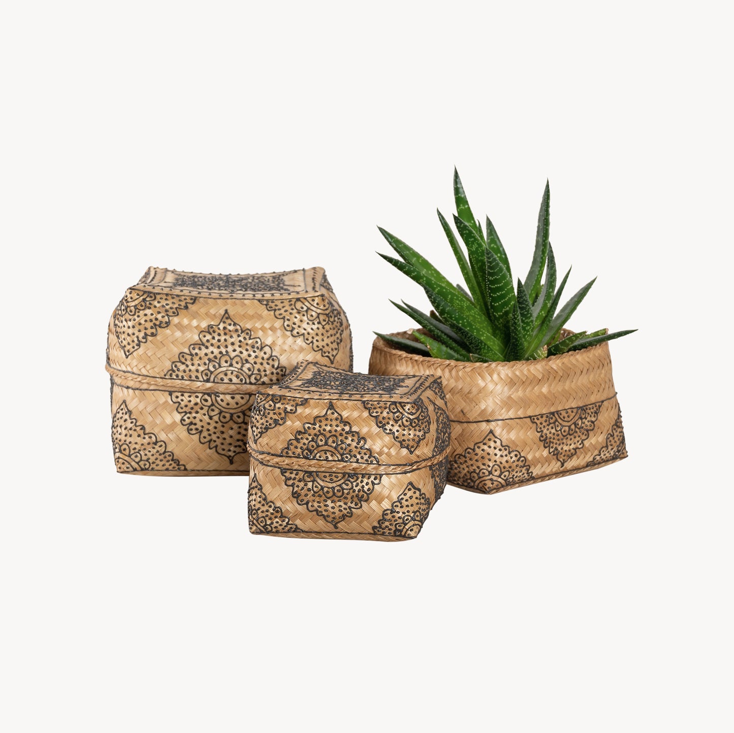 POKOLOKO Henna Bamboo Box #color_black-natural