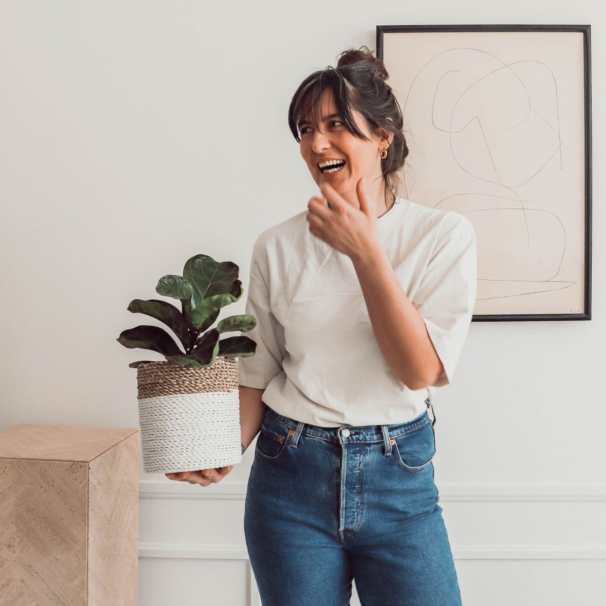 #color_white-natural