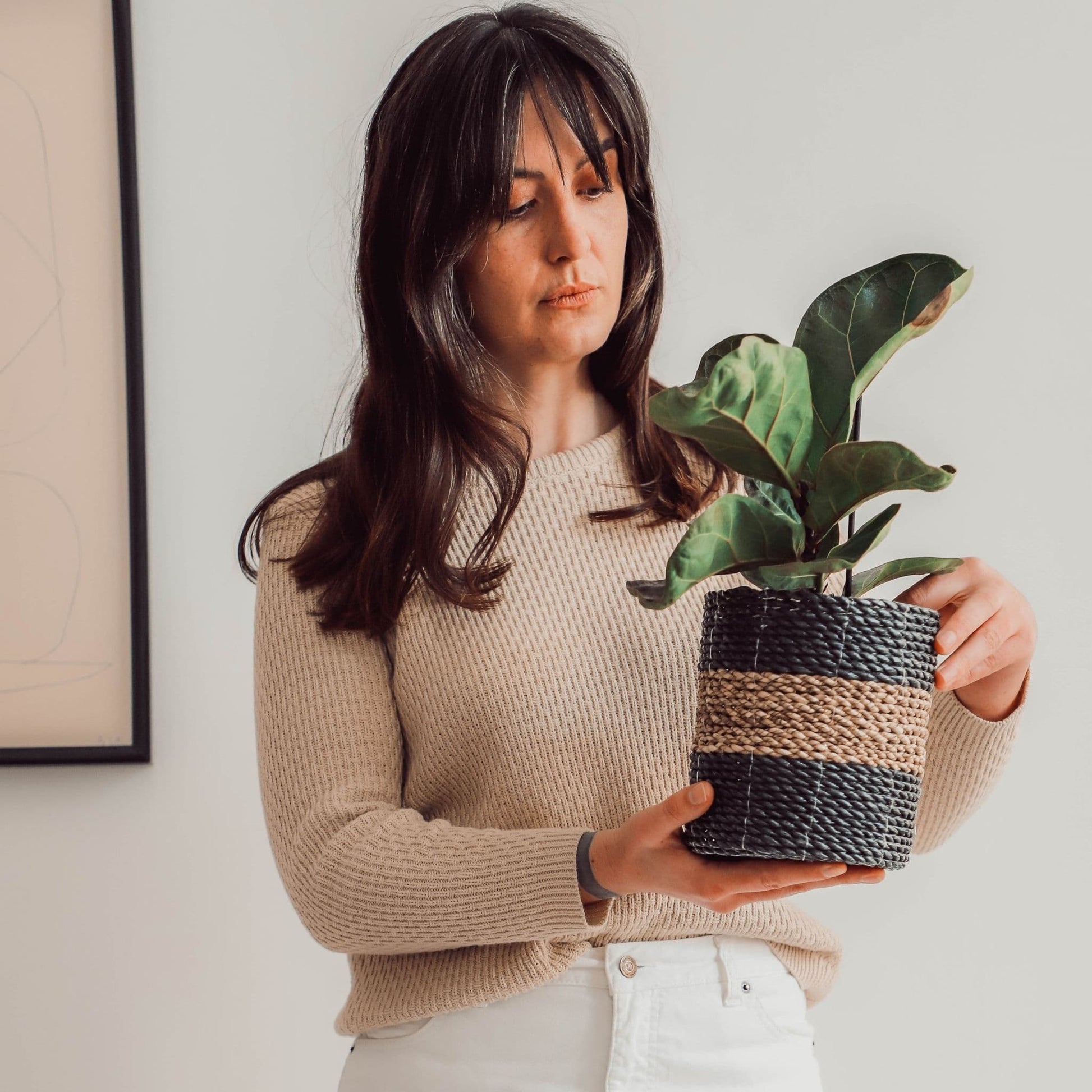 #color_white-natural