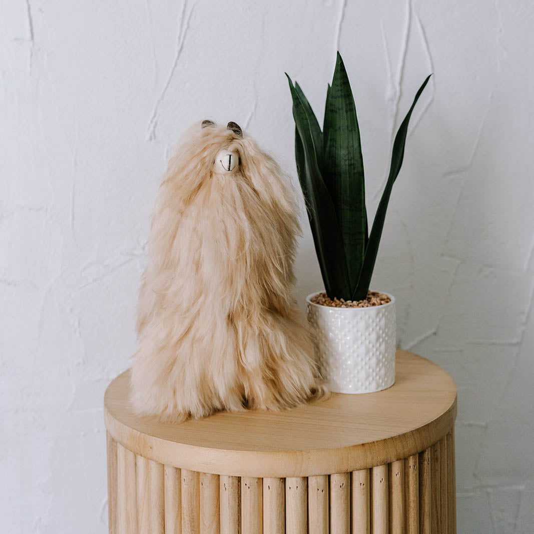 POKOLOKO Alpaca Fur Standing Suri Alpaca #color_beige