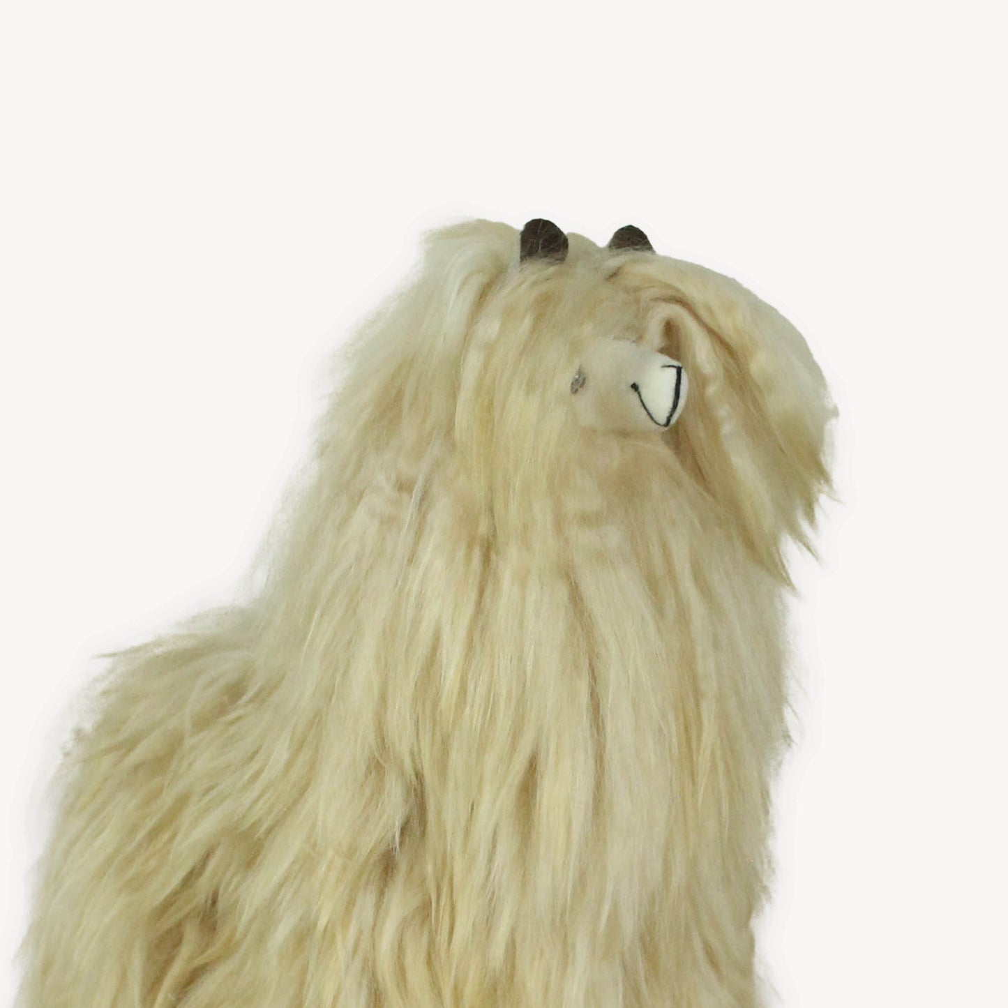 POKOLOKO Alpaca Fur Standing Suri Alpaca #color_beige
