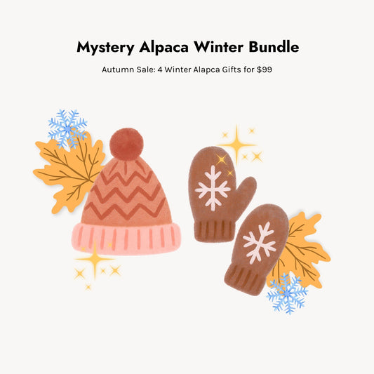 Mystery Alpaca Winter Bundle