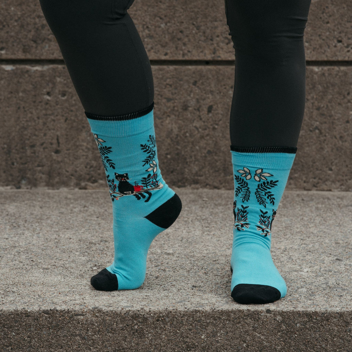 Coffee Cats Pima Socks