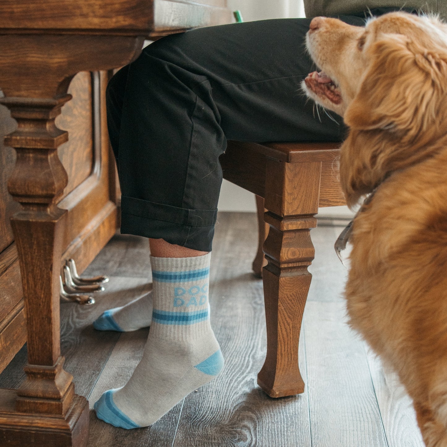 Dog Dad Pima Socks - Pack of 2